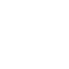 Golden Goose Web Design Package