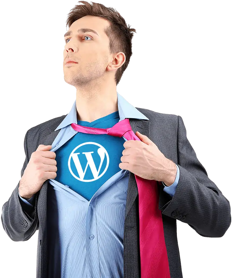 WordPress Developer London