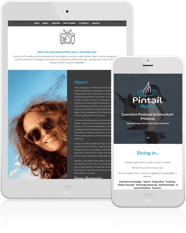 pintail media 2