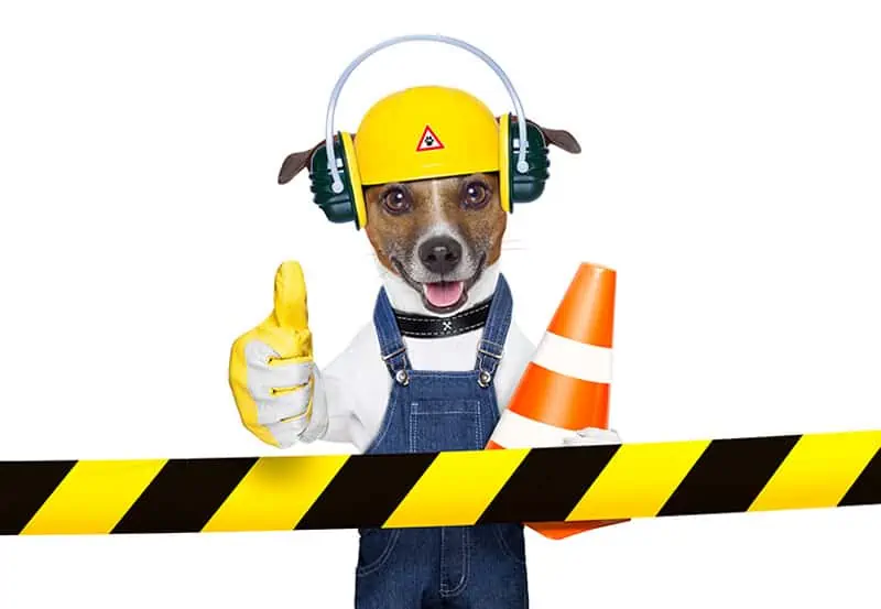 Why Use A Professional WordPress Maintenance Service